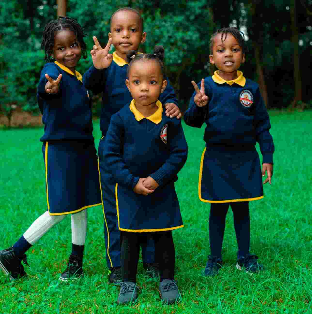 sunflower international school kindergarten