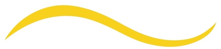 sunflower international school
